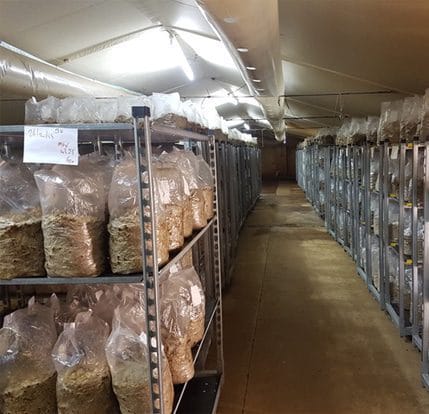 Farming warehouse