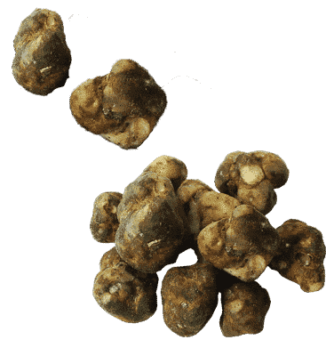 Truffels microdosing