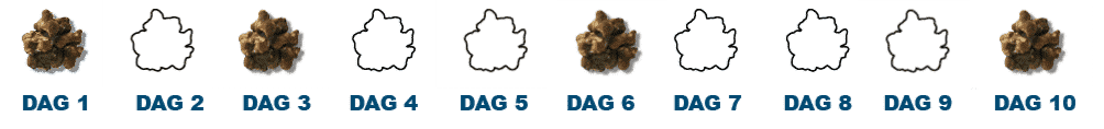 Microdosing protocol