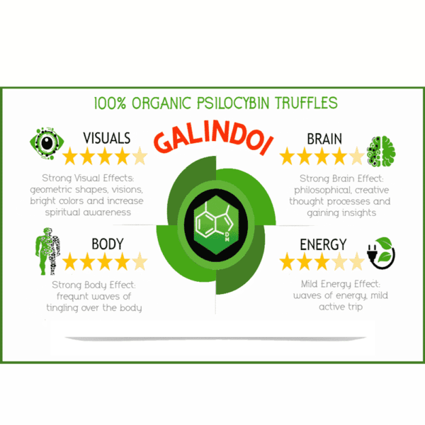 Trufas de Galindoi ecológicas 25 Gr - Imagen 2
