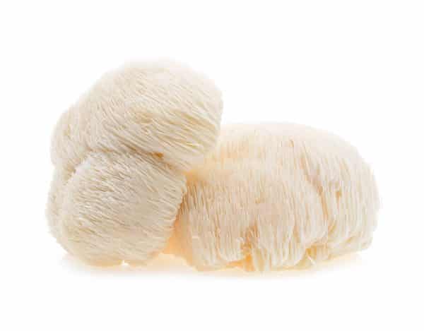 Lions mane mushroom