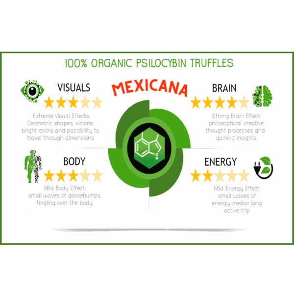 Trufas Mexicanas Ecológicas 15 Gr - Imagen 2