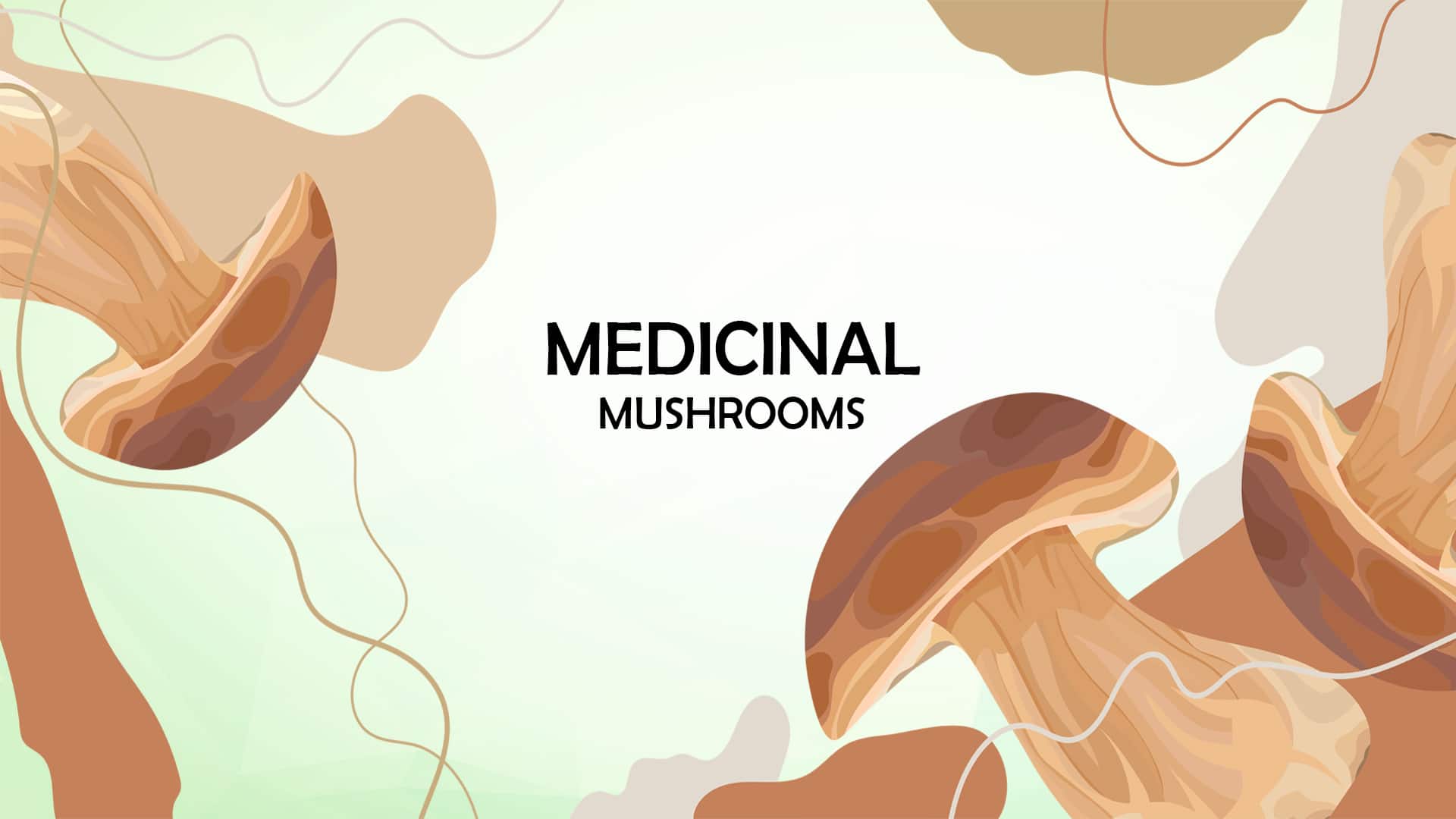 Medicnal mushrooms