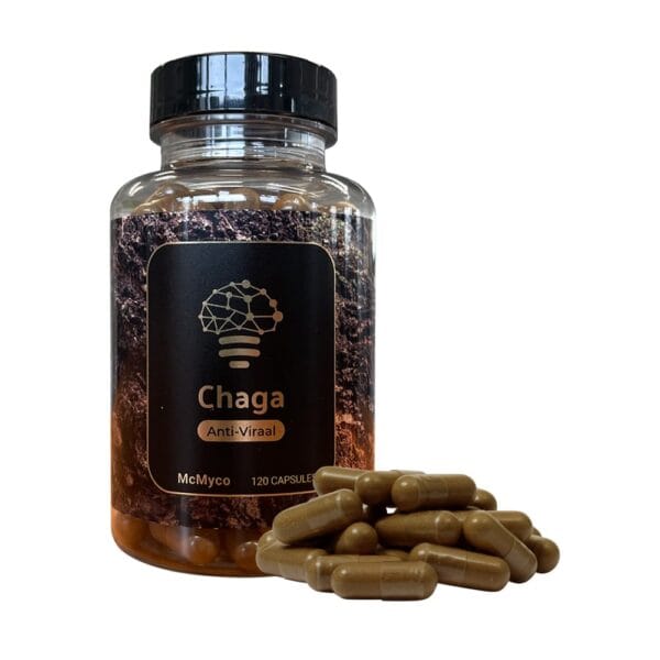 Chaga (Inonotus Obliquus)-120 Kapseln