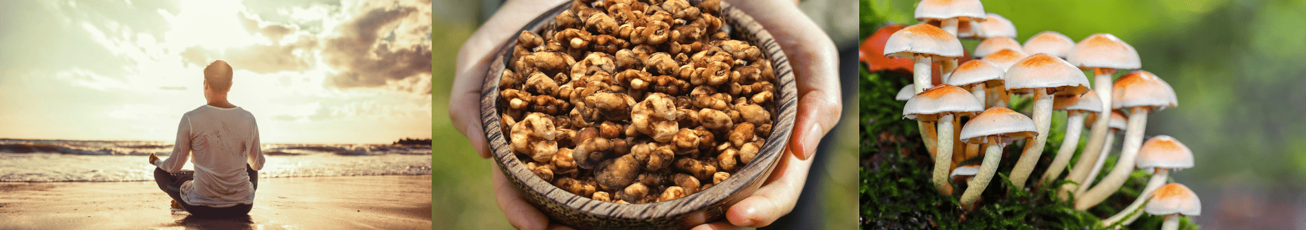 Microdosing biologische truffels