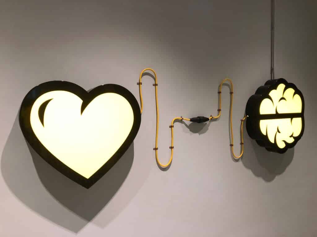 Heart and brain, feelings, emotions