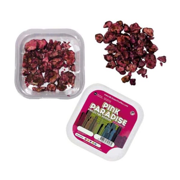 Rosa Paradies 15 Gr – Bild 2
