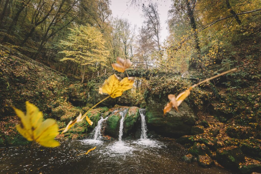 Cascada de otoño.