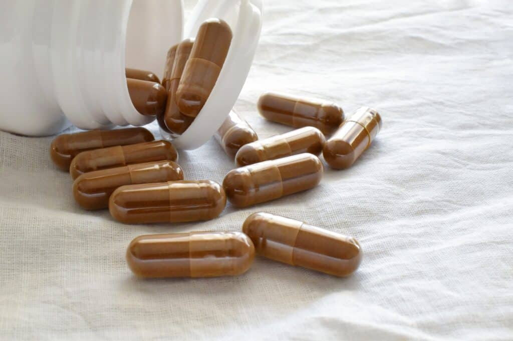 Integratore di erbe. Capsule di integratori a base di funghi Lingzhi o Reishi.
