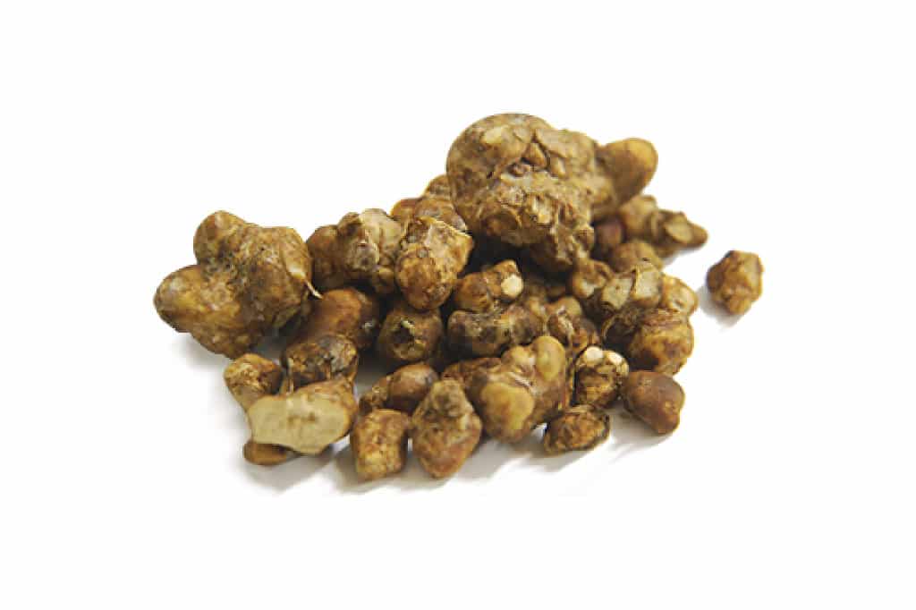 Psilocybine Truffels