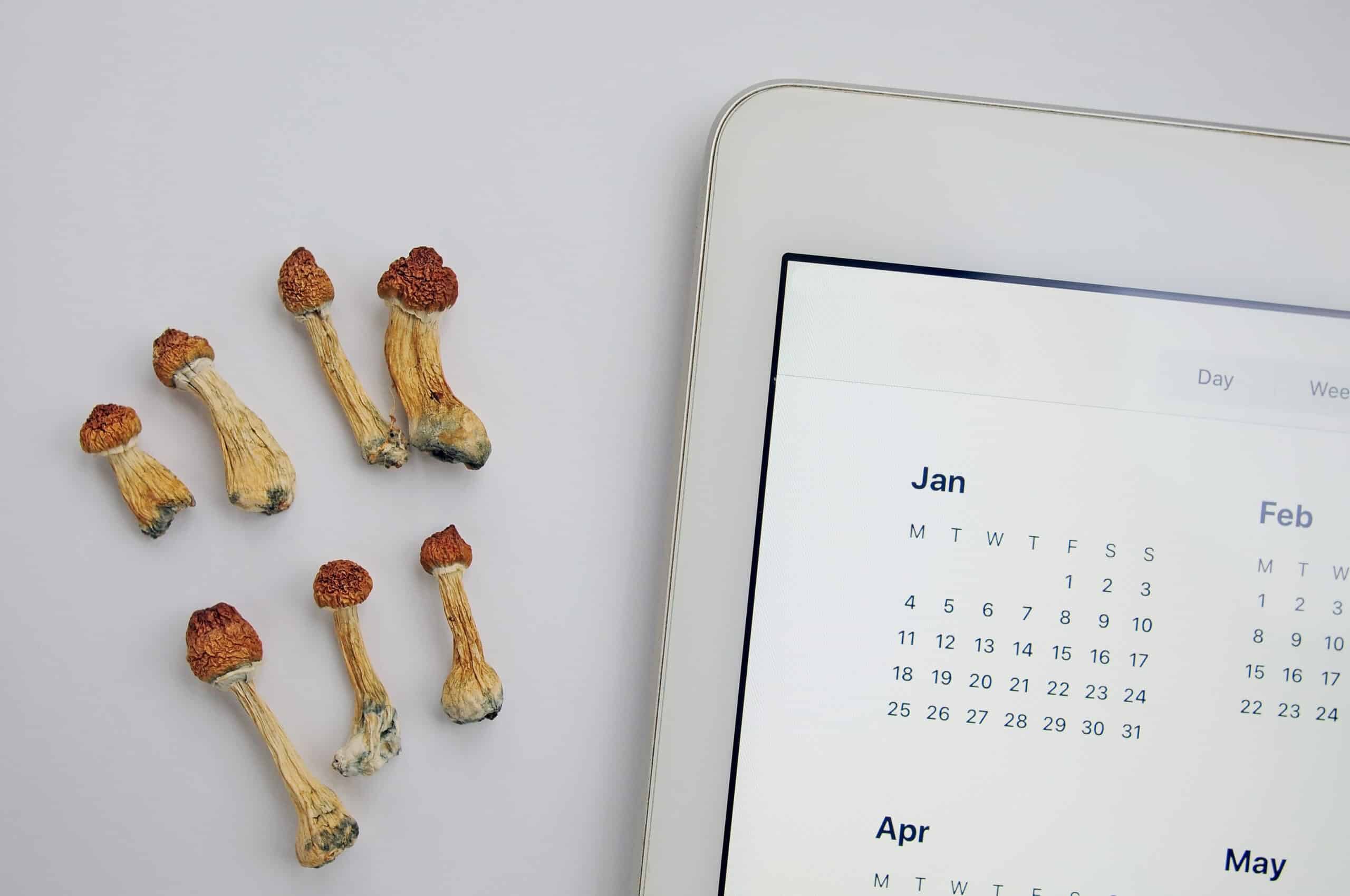 Voordelen van microdosing plan