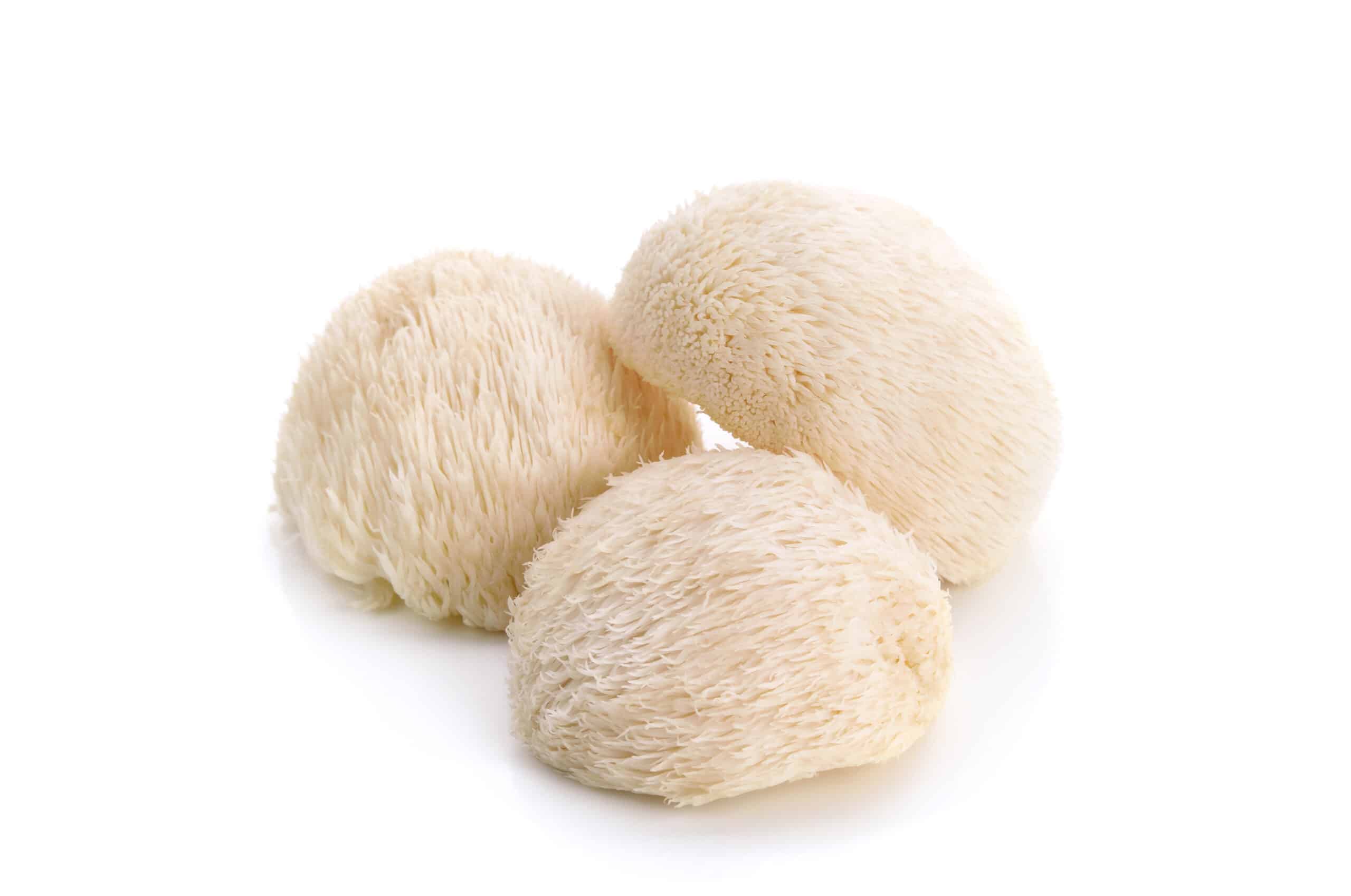 Mushroom growing