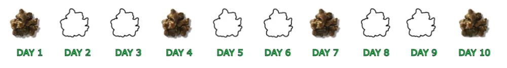 Microdosing routine dagen