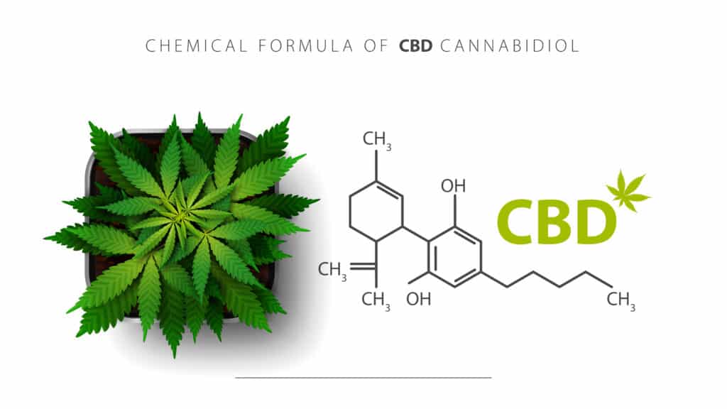 CBD supplementen