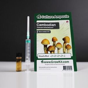 Cambodian - Culture Ampoule Set