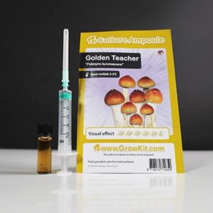 Golden Teacher - Culture Ampoule Set