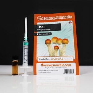 Set di ampolle Thai - Culture
