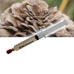 Maitake (Grifola frondosa) Liquid Culture Spuit - 20 ML