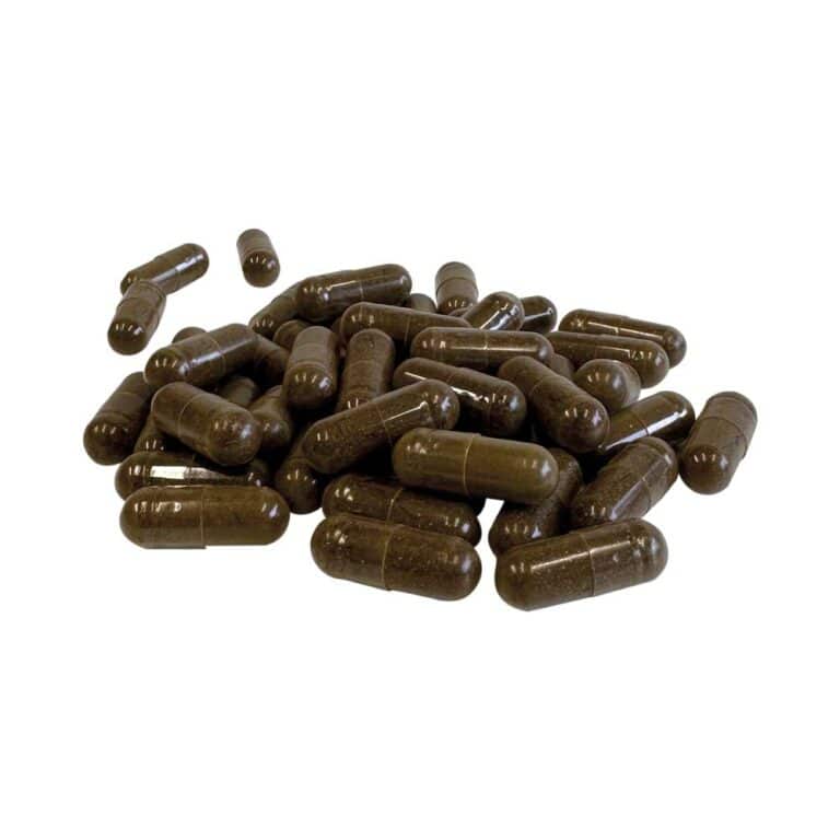 Ashwaganda - 120 pezzi - immagine 2